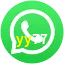 yy77 WhatsApp